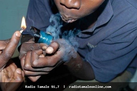 10% of drug users in Ghana started before age 15 – NACOC