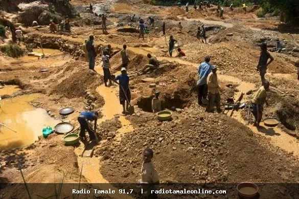 Duncan-Williams urges Church to educate Ghanaians on dangers of galamsey and gold smuggling