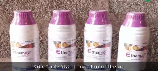 Woman arrested at Madina Market over alleged sale of unapproved fruit-ripening chemicals