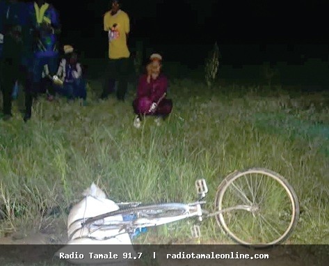 Bawku West: Nursing mother killed on Tilli-Widnaba road
