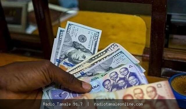 Cedi loses over 11% against dollar as import demand, energy costs bite