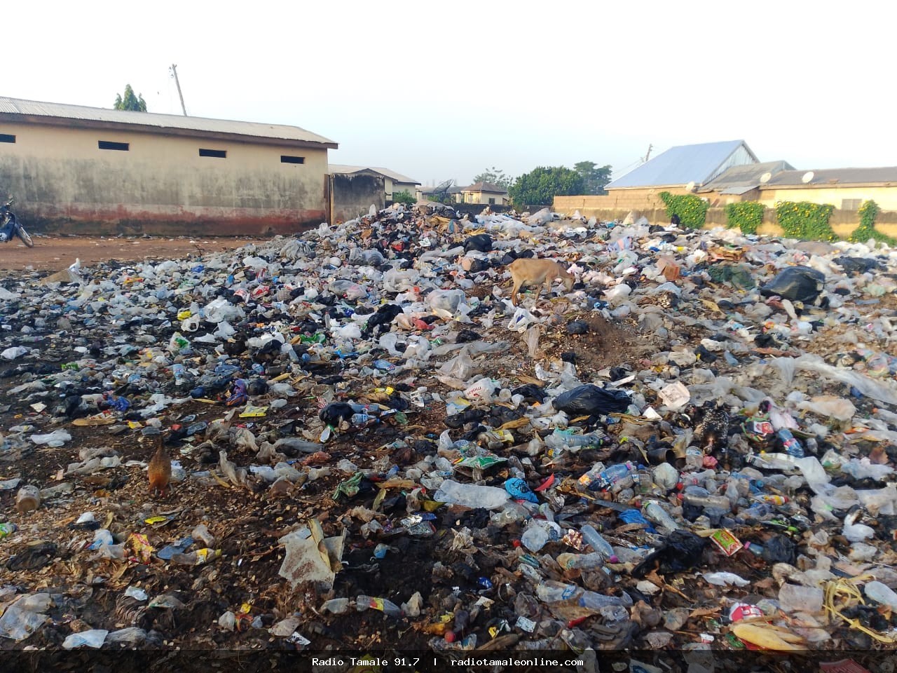 Nakpanzoo SIC Quarters residents appeal for refuse evacuation, fear cholera outbreak