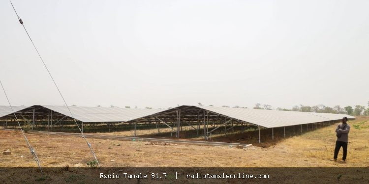 Bui Power Authority develops 150MW of solar power since 2020