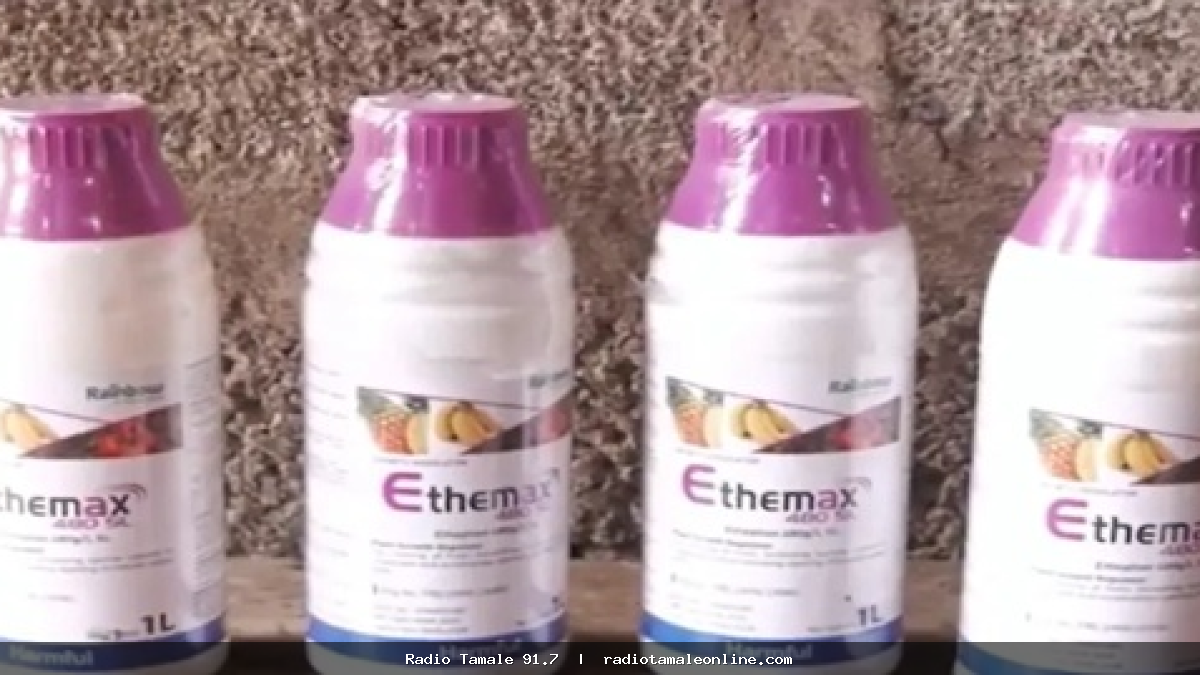 Woman arrested at Madina Market over alleged sale of unapproved fruit-ripening chemicals
