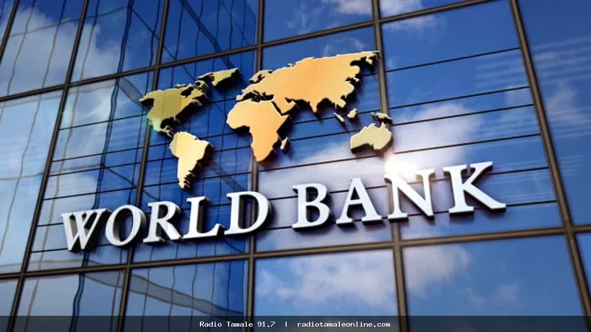 World Bank cautions Ghana over gold, cocoa and energy sector vulnerabilities