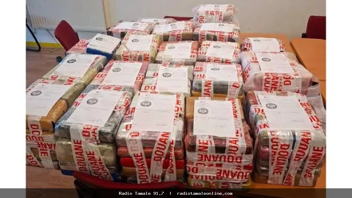 France cocaine seizure: NACOC arrests three suspects linked to "Bolle Jos" drug network
