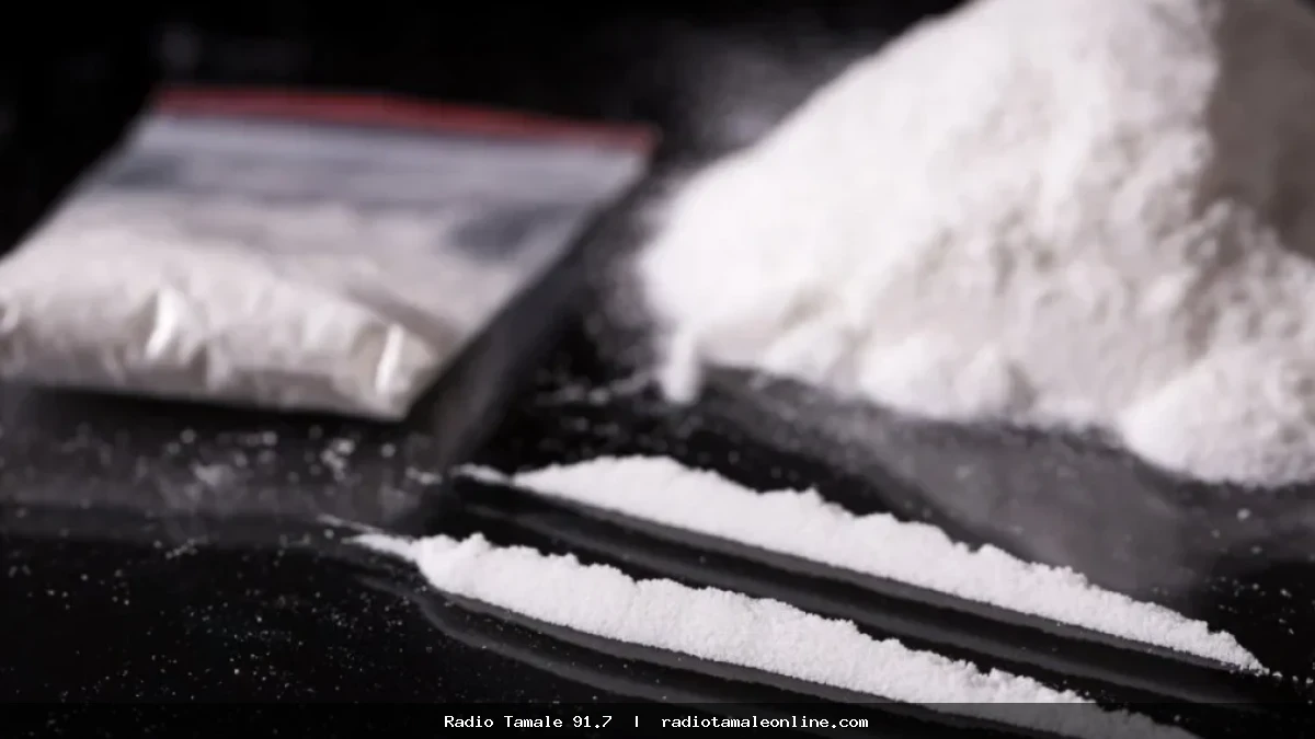 French cocaine seizure: Three suspects linked to ‘Bolle Jos’ network arrested – NACOC