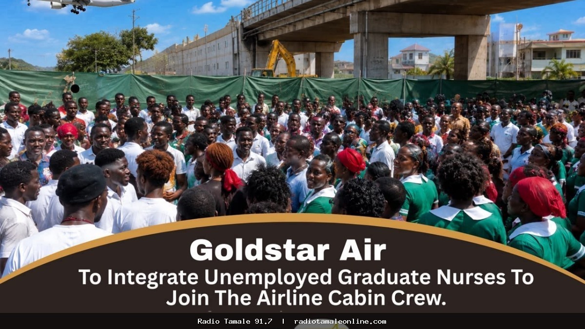 Goldstar Air To Integrate Unemployed Graduate Nurses To Join The Airline Cabin Crew