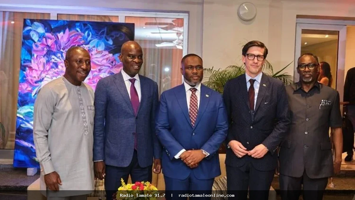 Africa-Europe ties must move beyond aid – German Ambassador