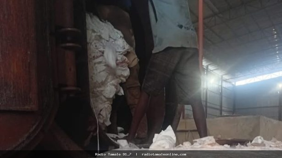 FDA destroys 40ft container of unhygienic diapers imported from Spain