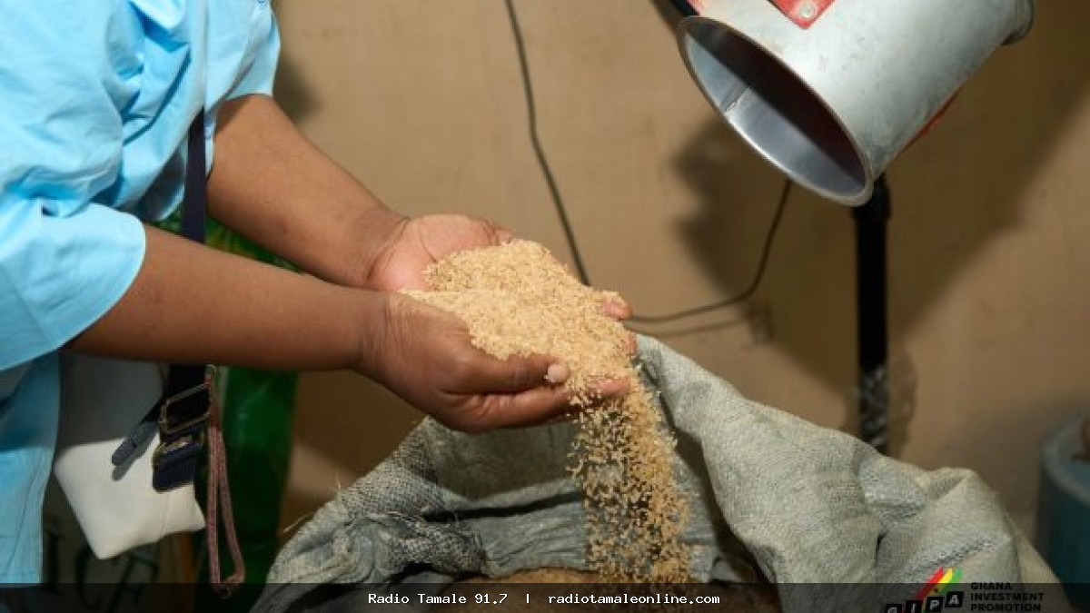 Nasia Star Rice CEO calls for stronger policies to boost local rice consumption