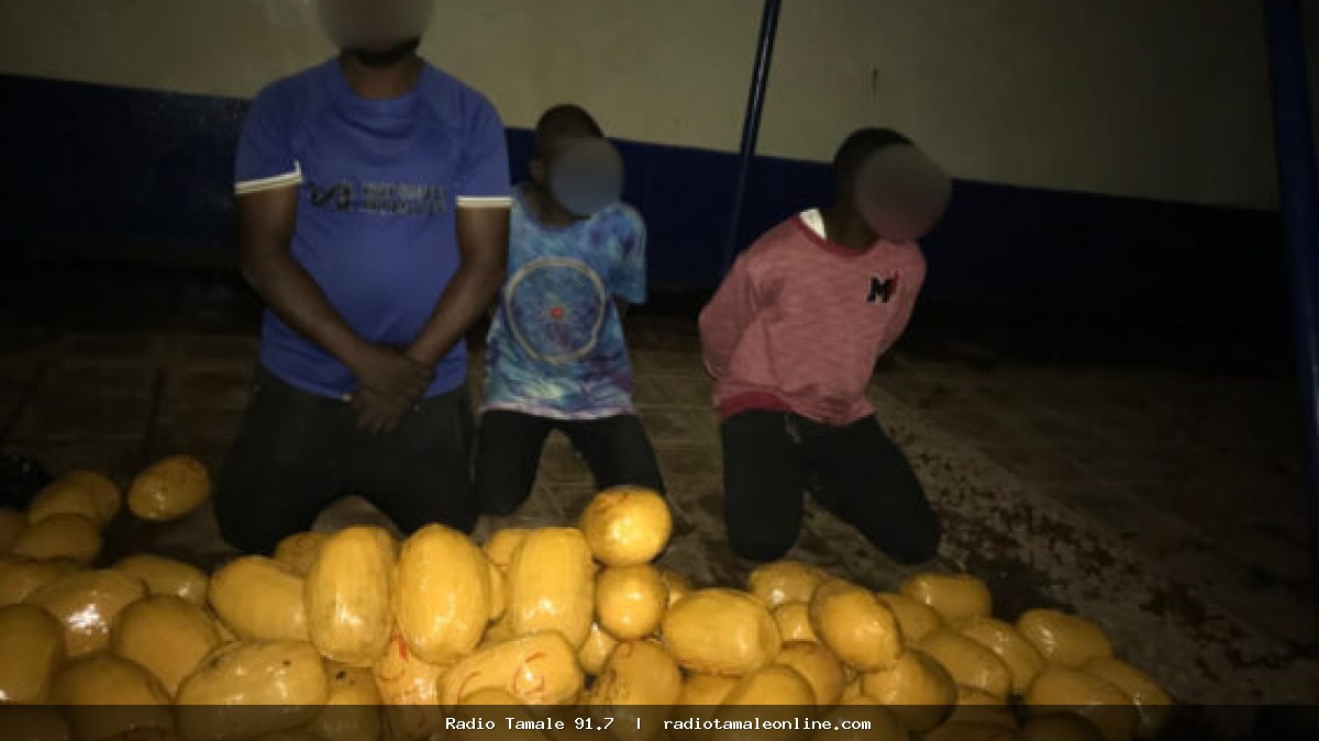 4 arrested, 142 parcels of suspected Indian hemp seized as officers reject GH¢50k bribe