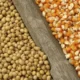 Grains 1140x570 1 80x80