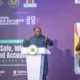 President John Dramani Mahama 80x80