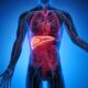 hepatitis B infection 80x80